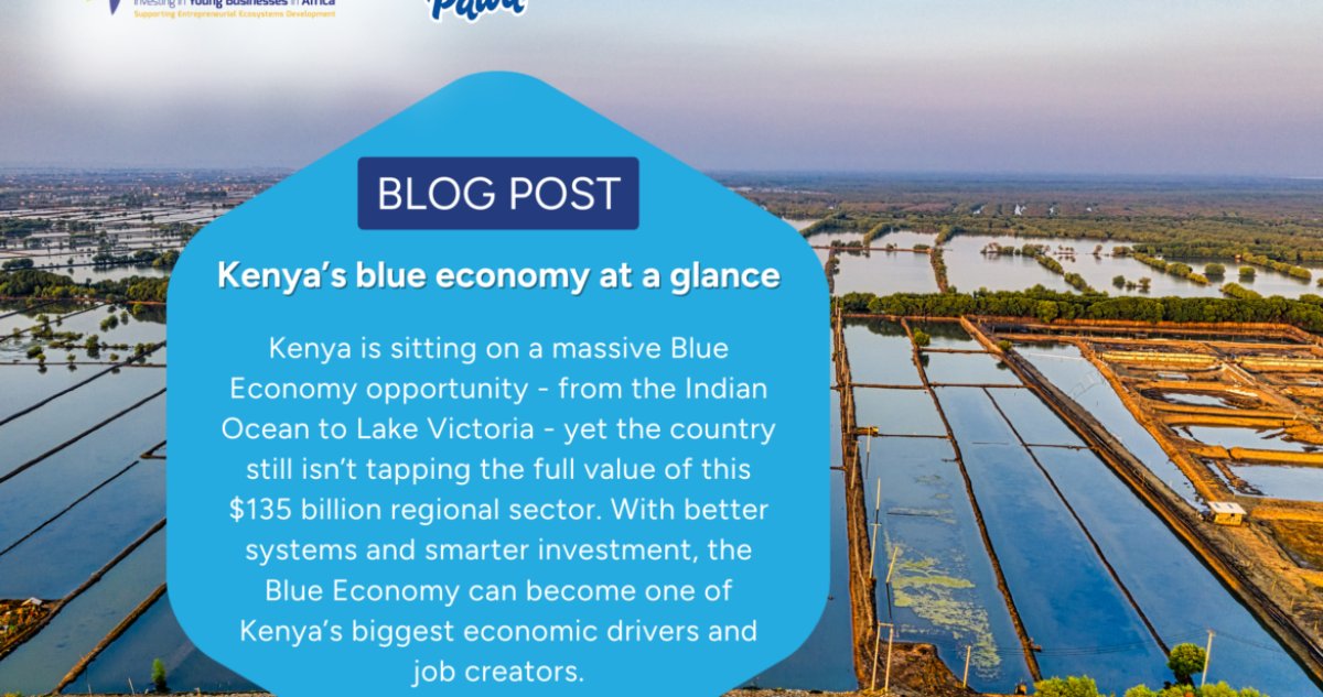 Time to re-imagine and actualize Kenya’s Blue Economy potential